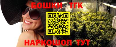индика Комсомольск-на-Амуре