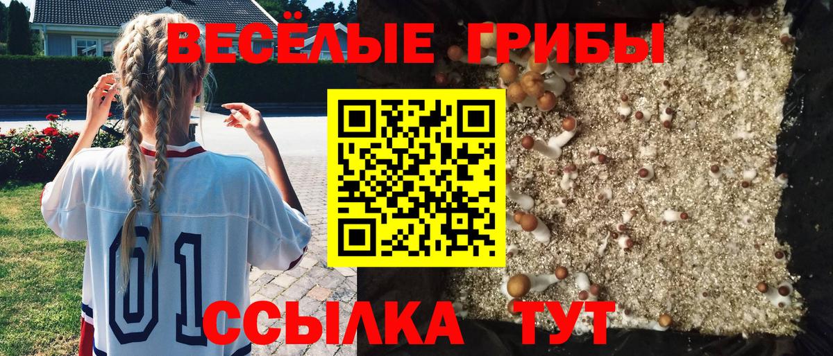 Псилоцибиновые грибы мицелий Чусовой