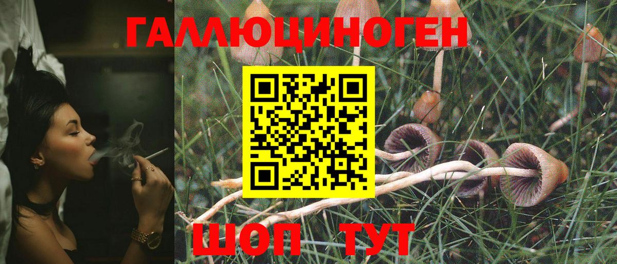 Галлюциногенные грибы Psilocybe  Вход с VPN  Чусовой 